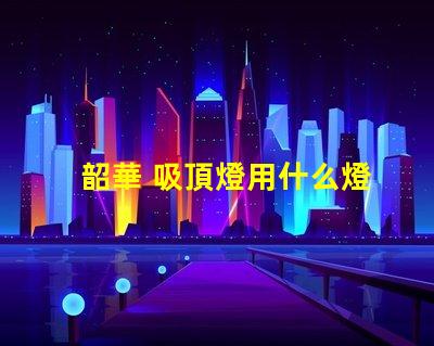 韶華 吸頂燈用什么燈珠